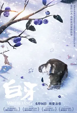 在线p